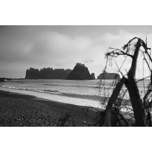 Distant island black and white
