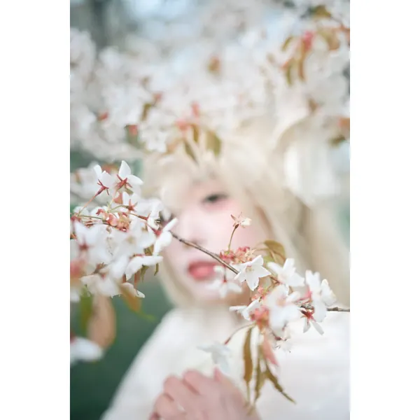 Japan Festival